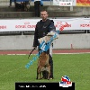 IMG_9439 (2)